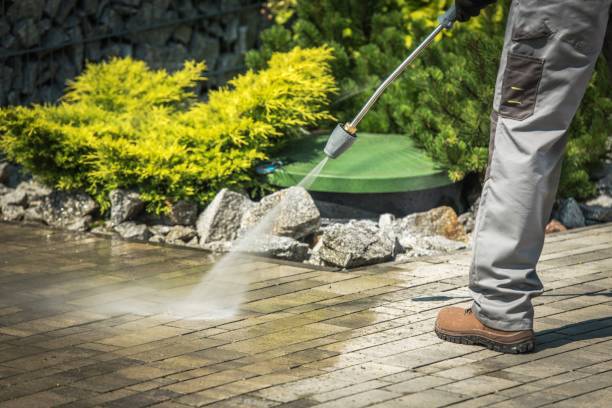 Best Pre-Holiday Cleaning  in Republic, MO